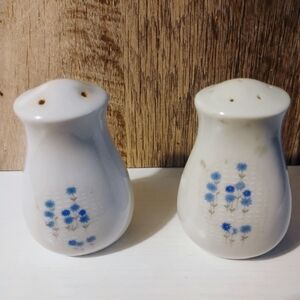 Sheffield Rhapsody Vintage Porcelain Salt N Pepper Shakers